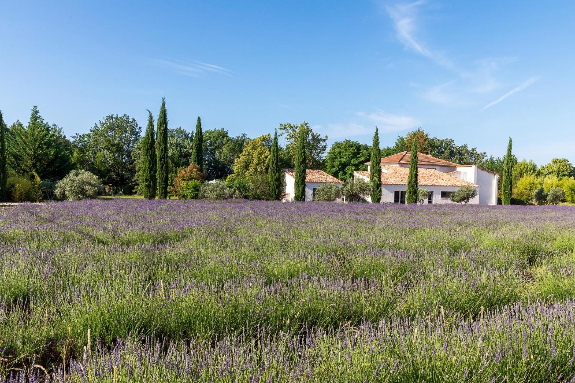 Bastide De Damien Hotel Aix-en-Provence Exterior foto